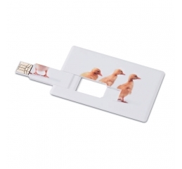 USB memory stick νο MO1059I, σε σχήμα πιστωτικής κάρτας
